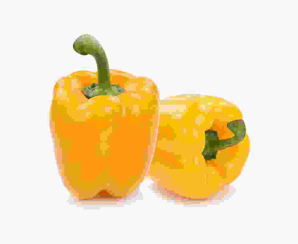 Shop Primary Image Shop Primary Image