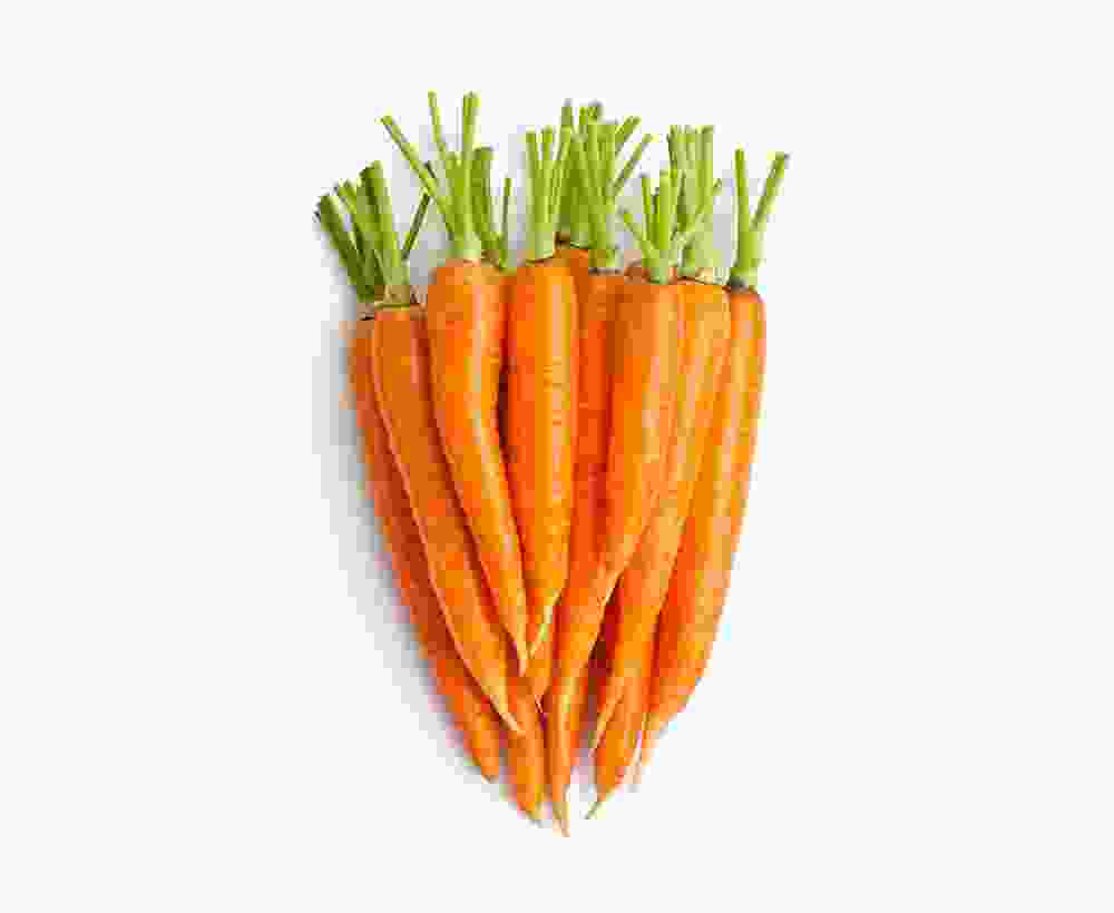 Shop Secondary Image Shop Secondary Image