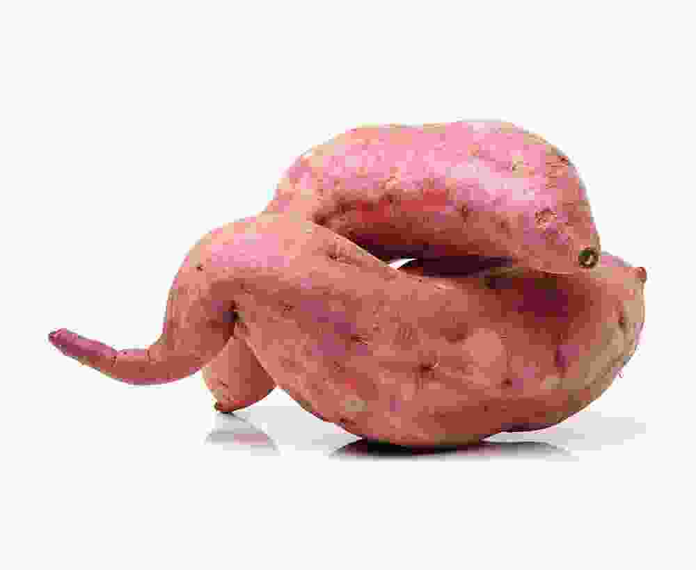 Shop Secondary Image Shop Secondary Image